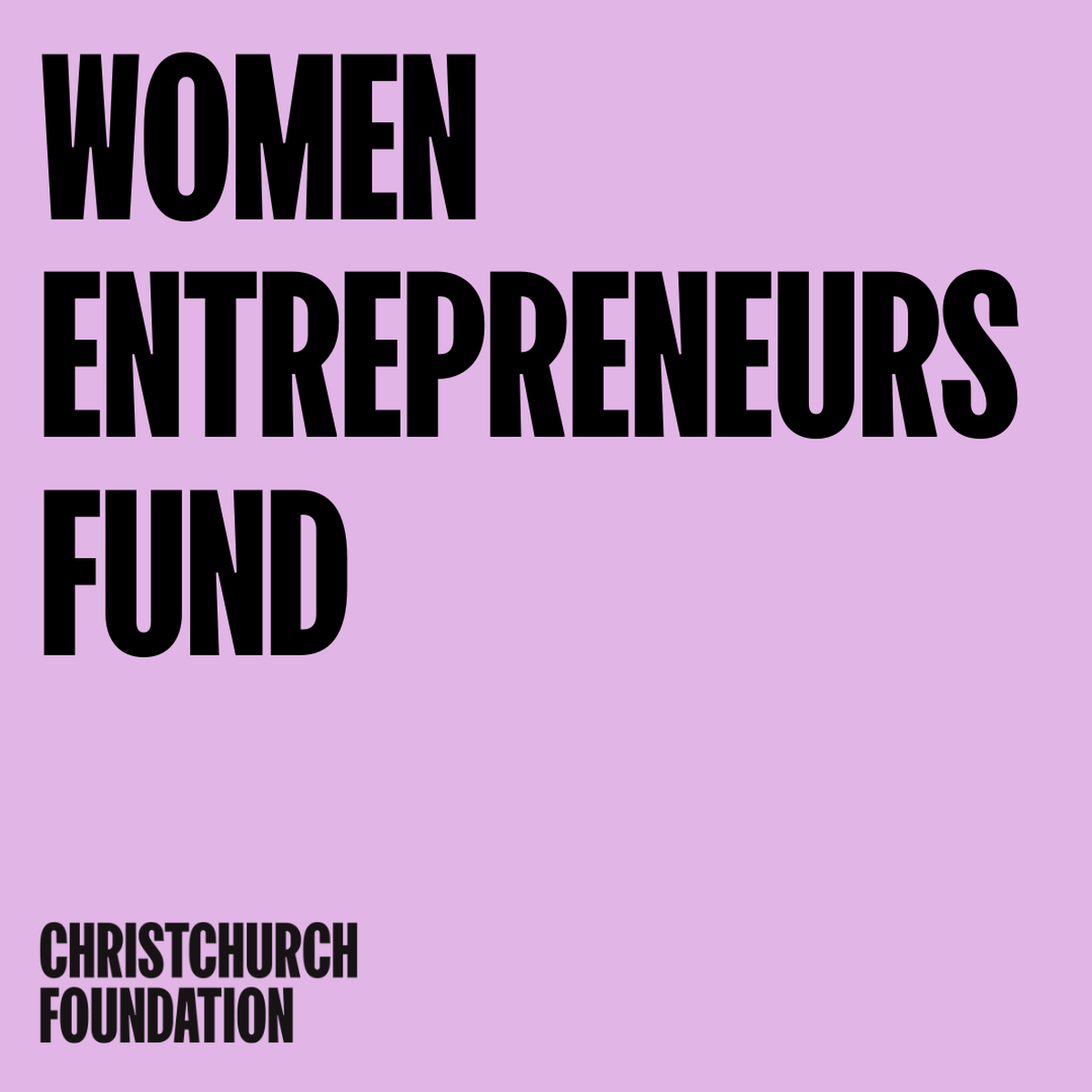 Womens Entrepreneurs Fund